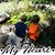 Sue Munson's profile image
