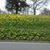 Tracey Bucy Allison's profile image