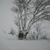 Beth Krebs Dutenhaver's profile image
