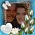 Marie Craig's profile image