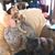 Carol James's profile image