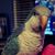 Gaylene Blair Smith's profile image