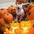 Dianna Groen's profile image