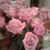 Kim Bennett's profile image