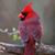 Phyllis Hensley's profile image