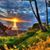Gerri Martinez's profile image