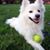 Sylvie Layzell's profile image