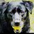 Kathie Sutphin Stacey's profile image