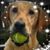 Ed Sninsky's profile image