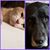 Laurette Laurette's profile image