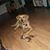 Tara Hite's profile image