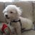 Norinne Cope O'Neill Alleva's profile image