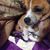 Diana Hatton's profile image