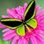 Lynn Wilson's profile image