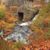 Cheryl Wixon Gocken's profile image