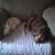 Jeannie Harper's profile image