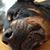 Don VanStory's profile image