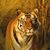 Nancy McNeely Lollis's profile image