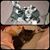 Liz Hobbs's profile image