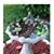 Christine Lynn's profile image