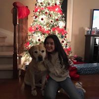 Stephen Teskey's profile image