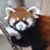 Kathy Edwards Haydon's profile image