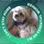 Suzanne Smock's profile image
