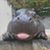 Tammy Watkins's profile image
