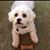 Susan Jedlicka Burke's profile image