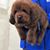 Laron Taylor-Lai Lida's profile image