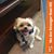 Sandra Johns-Torres's profile image