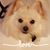 Kathy Rick Feulner's profile image
