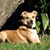Kathryn Trevino Steury's profile image