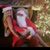 Leslie Rice Mailloux's profile image