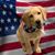 Cathy Gallagher's profile image