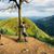Shakeer Shareef's profile image