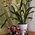 Olga Flores's profile image