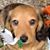 Erin Blystone's profile image