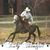Oakhill Equestrian Center's profile image
