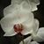 Kristin Ma's profile image