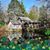 Debra Johnson Love's profile image