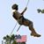 Duane Ashford's profile image