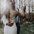 Melissa Alzate's profile image