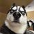 David Florio's profile image