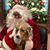 Gail Crampton Beardslee's profile image