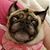 Bonnaline Phelps Wlodarczyk's profile image