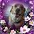 Elaine Jones Kejr's profile image