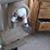 Kathleen Finney- Neet's profile image