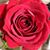 Cynthia Gabriel- Weigold's profile image