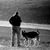Hank Swartz's profile image